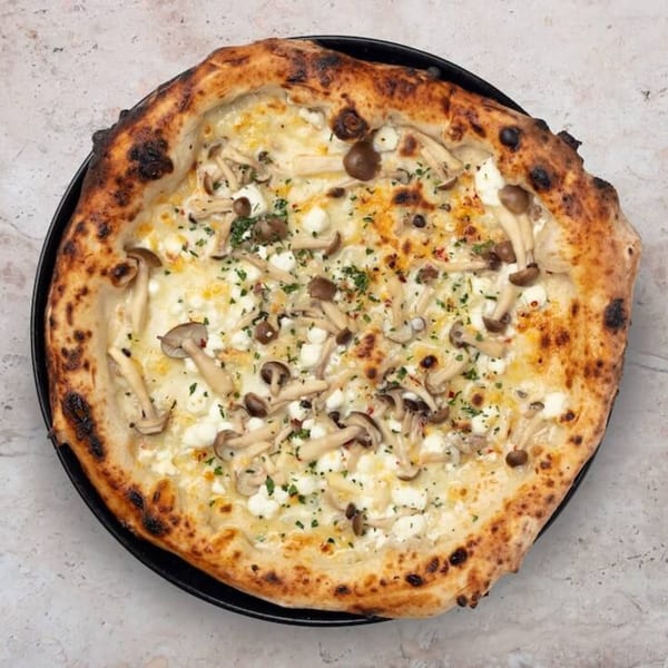 Nardò Italian Restaurant's white pizza with mushrooms, cheese, and herbs on a black plate.