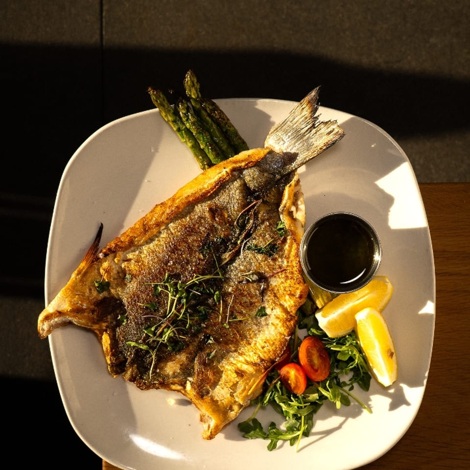 Delicious Salmon Dishes